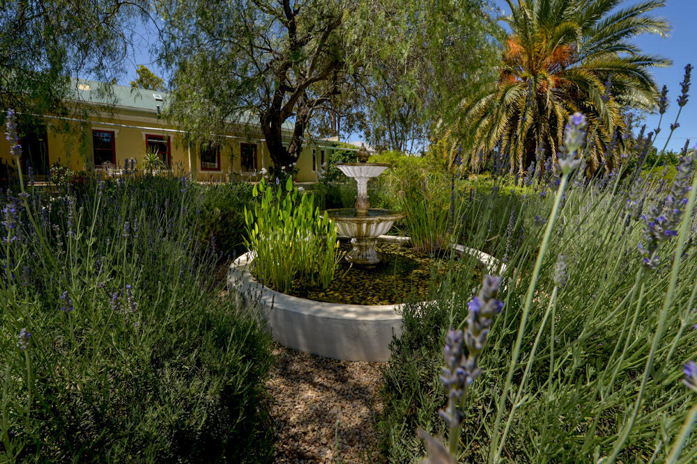 Darling Lodge Guest House Exterior photo